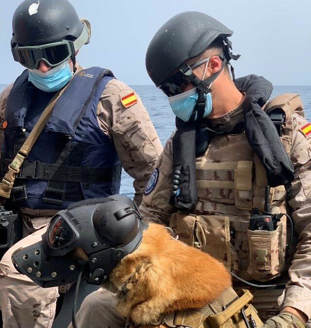 La Fuerza de Protección de la Armada realiza ejercicios caninos en Cartagena