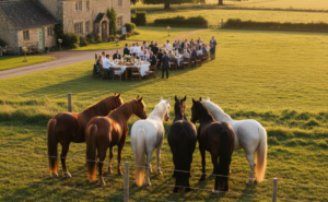 1773685355255(1)5322090786344071548